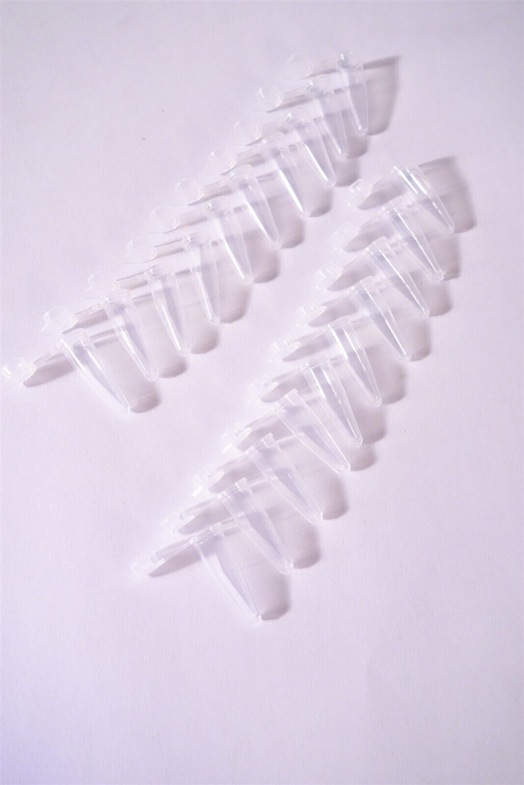 Lot of 20 0.2ml Polypropylene microcentrifuge tube with Snap Cap