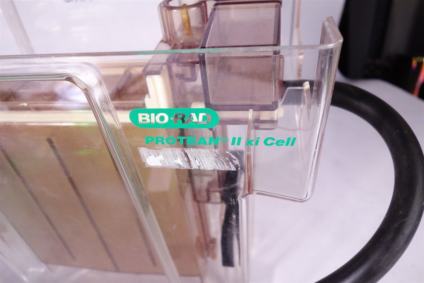 BIO-RAD PROTEAN II xi TRANS-BLOT CELL + Accessories