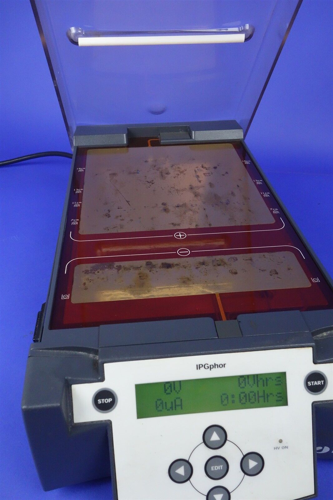 Pharmacia Amersham IPGphor Biotech IPGphor Isoelectric Focusing System