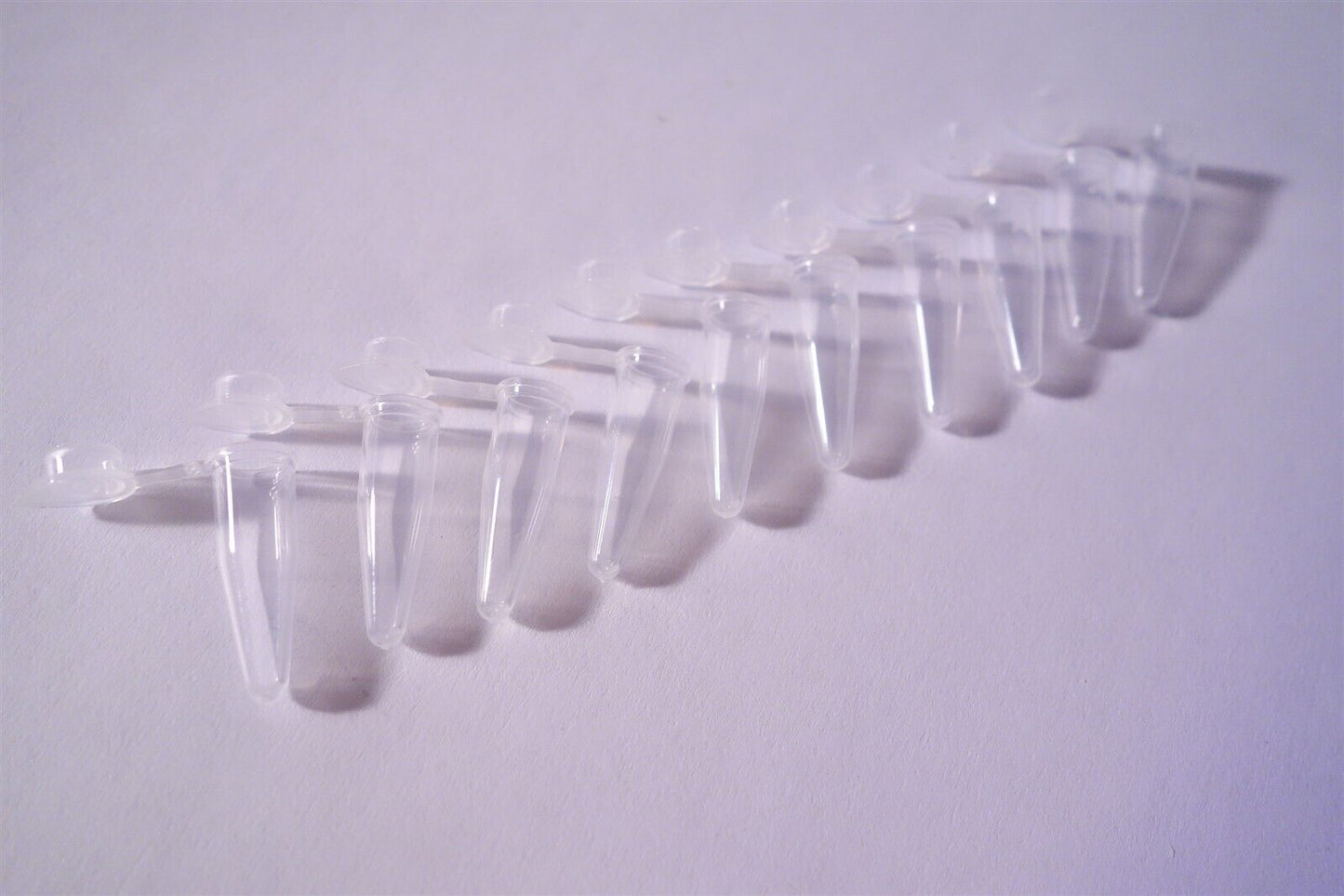 Lot of 10 0.2ml Polypropylene microcentrifuge tube with Snap Cap