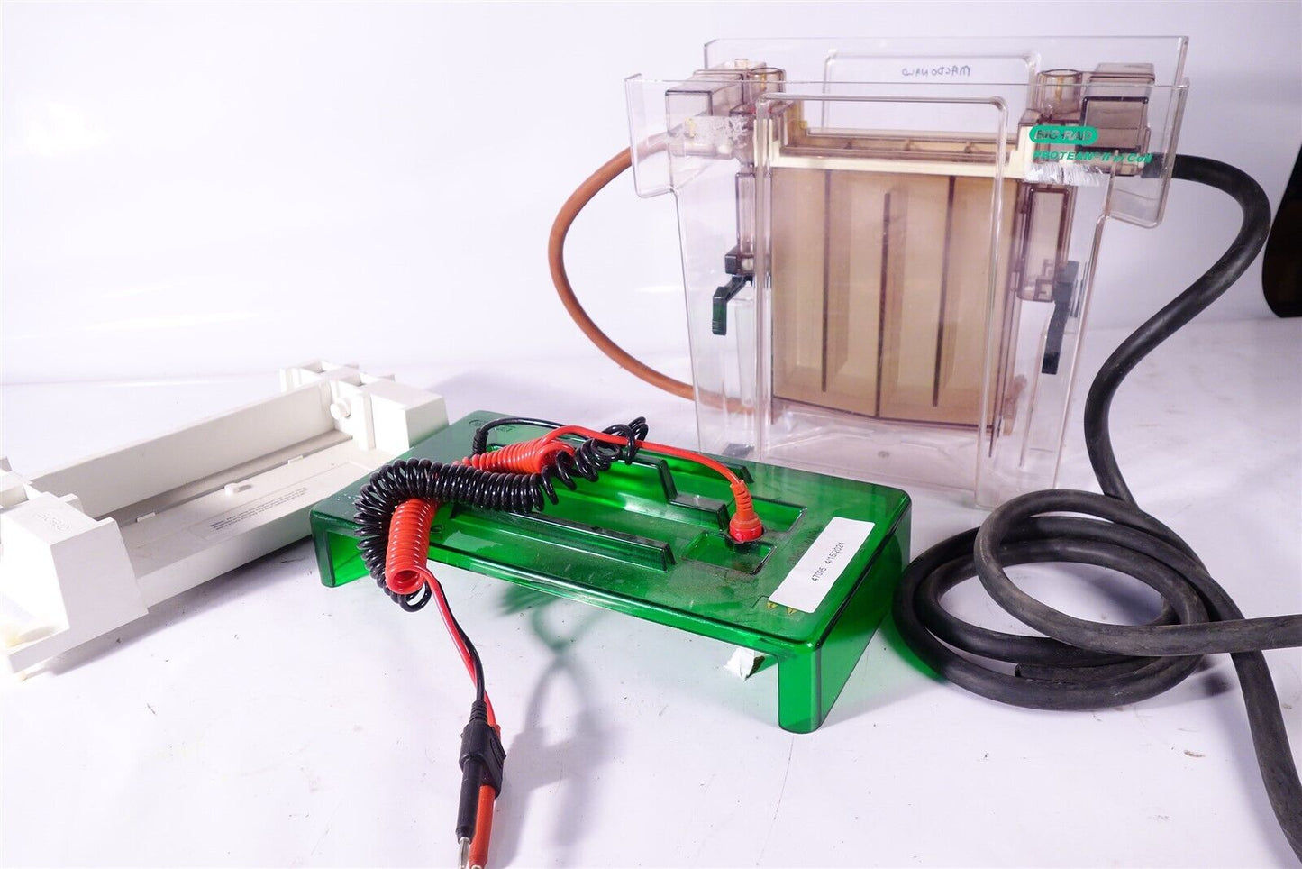 BIO-RAD PROTEAN II xi TRANS-BLOT CELL + Accessories 