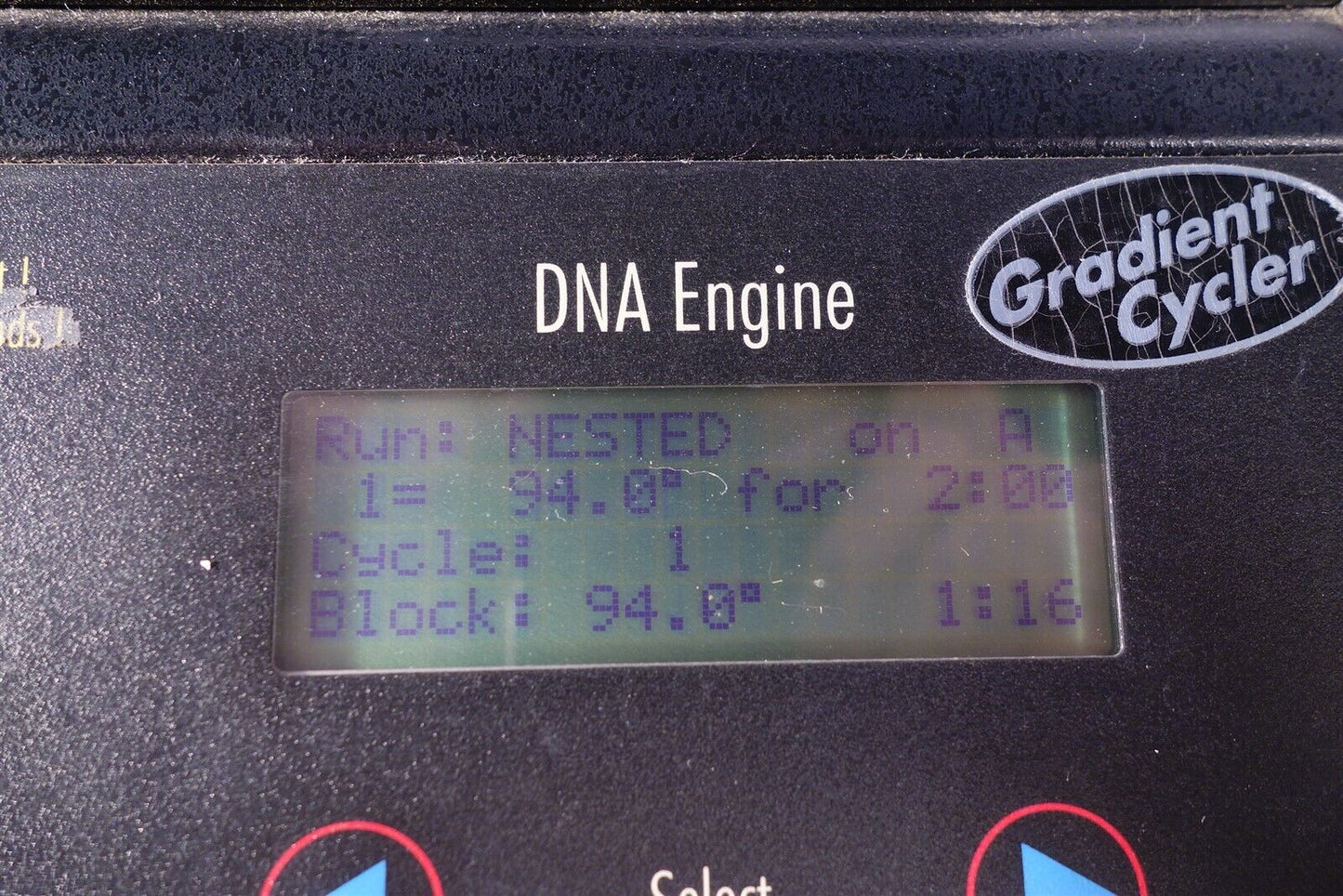 BIORAD / MJ Research PTC-200 DNA thermal cycler PCR Machine Double Block 